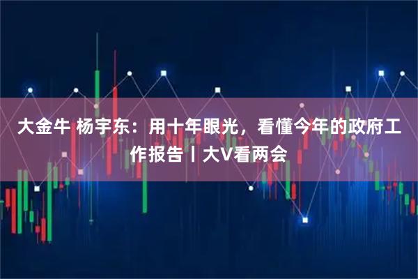 大金牛 杨宇东：用十年眼光，看懂今年的政府工作报告丨大V看两会