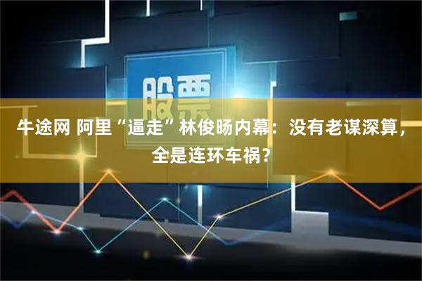 牛途网 阿里“逼走”林俊旸内幕：没有老谋深算，全是连环车祸？