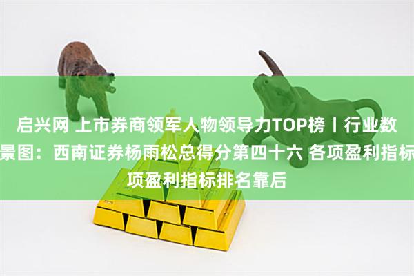 启兴网 上市券商领军人物领导力TOP榜丨行业数据评价全景图：西南证券杨雨松总得分第四十六 各项盈利指标排名靠后
