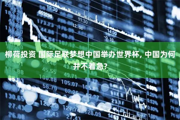 柳荷投资 国际足联梦想中国举办世界杯, 中国为何并不着急?